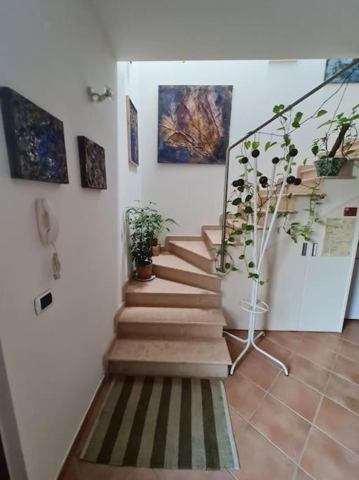 Scrigno Del Borgo-Intero Alloggio Montelupone 外观 照片